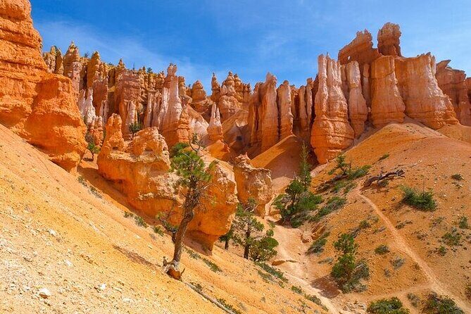 8 Day Trip Las Vegas Antelope Canyon Bryce Yellowstone - The Value of Included Features