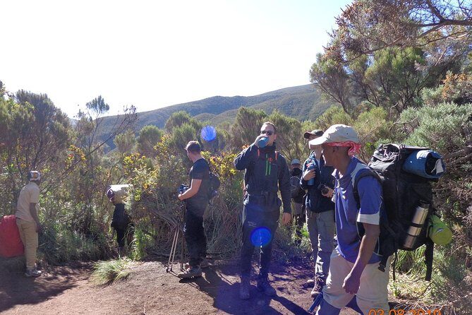 8 Days 7 Nights Kilimanjaro Lemosho Route - Who Should Consider This Climb?