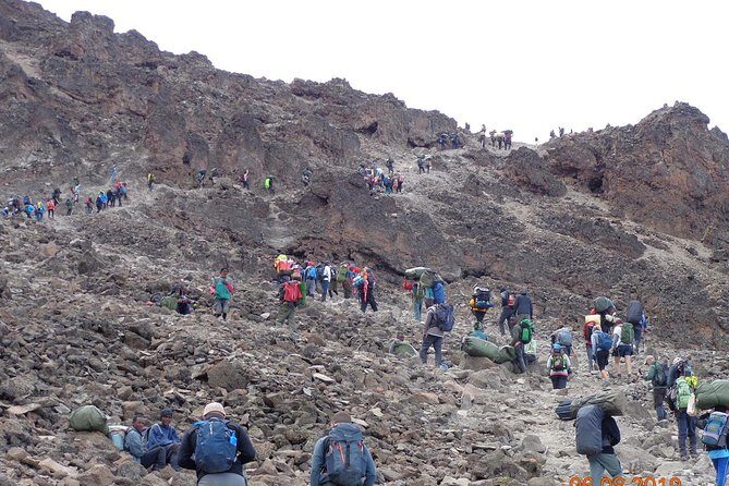 8 Days 7 Nights Kilimanjaro Lemosho Route - The Sum Up