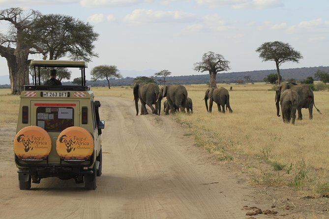 8 Days 7 Nights Private Lodge Safari - Authentic Tanzanian Wildlife Safari: An In-Depth Review of the 8 Days 7 Nights Private Lodge Experience