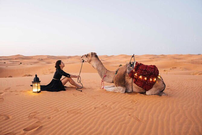8 Days 7 Nights private tour Marrakech-Sahara Desert-Chefchaouen - Key Points