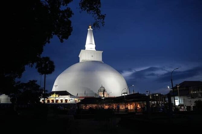 8 Days/ 7 Nights - Sri Lankas Culture Wildlife and Beaches - The Transportation and Guide Experience