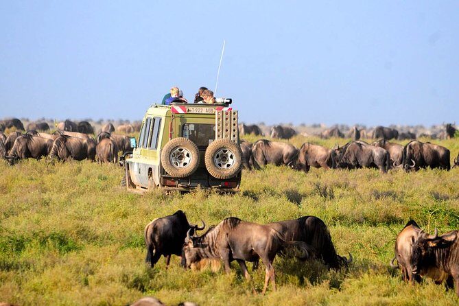 8 Days 7 Nights Tanzania Wildlife & Culture Lodge Safari - FAQ