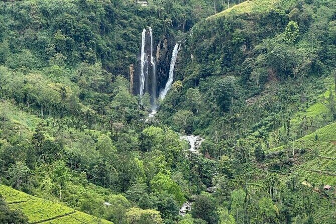 8 Days and 7 Nights Sri Lanka Tour - Ending with Conservation and Cultural Highlights