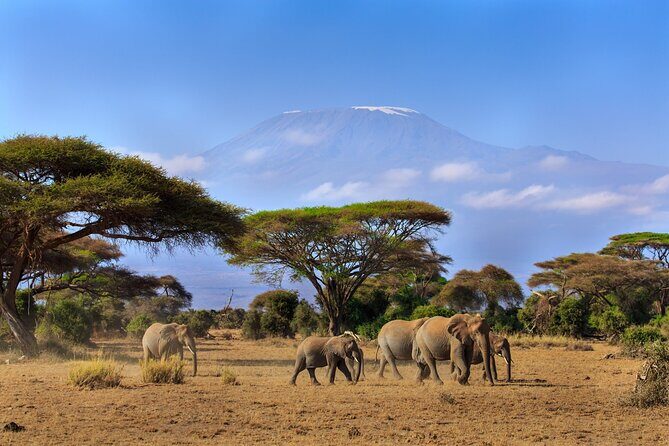 8 Days Combined Kenya And Tanzania Luxury Safari - Introduction
