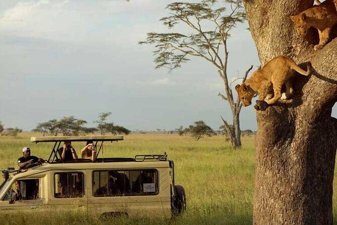 8 Days Exploring Tanzania Northern Circuit National Parks - FAQ