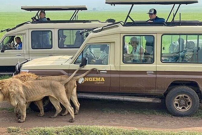 8 Days Follow the Wildebeest Migration River Crossing Safari - The Sum Up: Is This Safari Worth Considering?