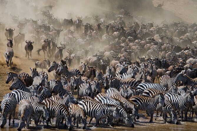 8 Days Follow the Wildebeest Migration River Crossing Safari - FAQ