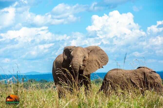 8 Days Gorillas, Primates & Wildlife Safari Uganda Safari - Practical Details: What You Need to Know