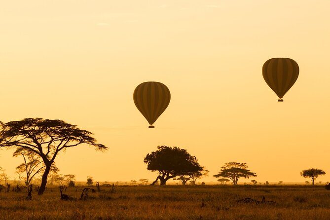 8 Days Green Season Offer - Luxury Serena Safari - Key Points