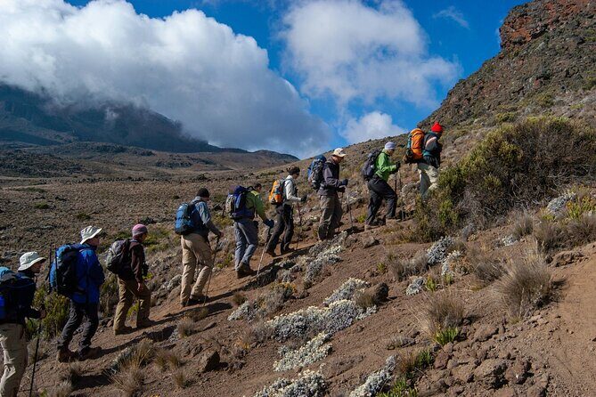 8 Days Guided Private Trekking in Mount Kilimanjaro - Starting Point: Londorossi Gate and the Rainforest