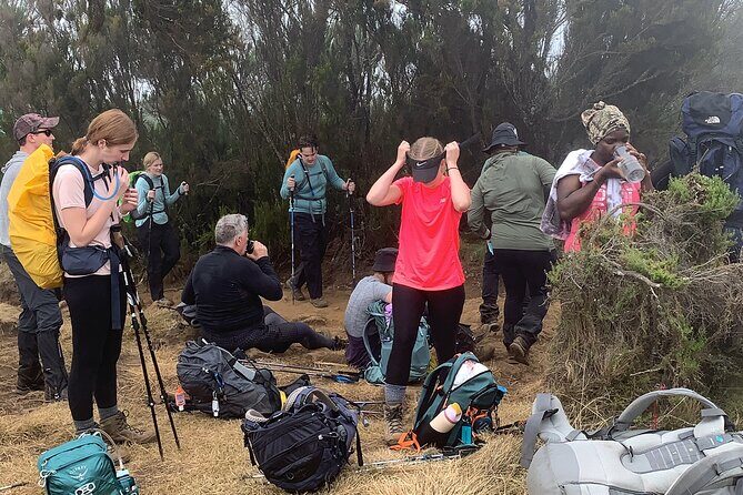 8 Days Guided Private Trekking in Mount Kilimanjaro - The Big Push: Summit Night