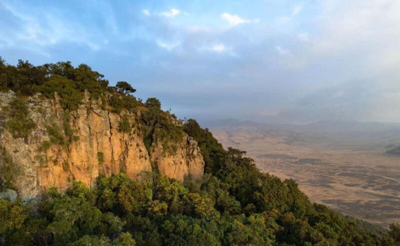 8 Days Harar, bale mountain and Awash safari tour. - The Route: A Closer Look at the 8-Day Adventure