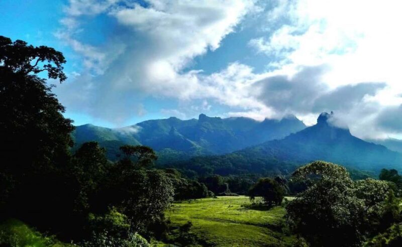 8 Days Harar, bale mountain and Awash safari tour. - What Travelers Say