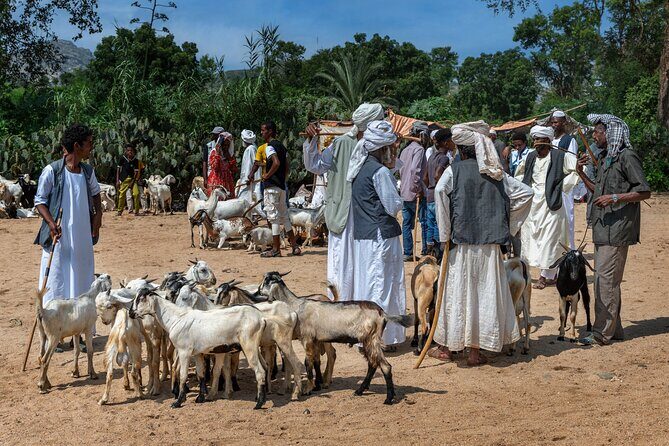 8 Days in Eritrea Asmara Ancient Sites and Red Sea Paradise - A Close Look at the Itinerary: What to Expect