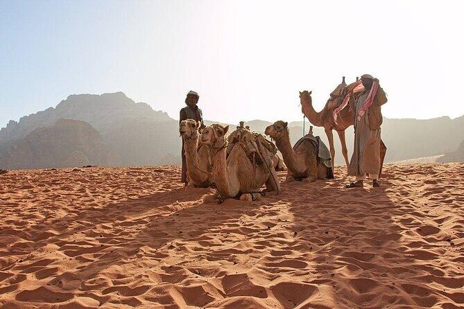 8 Days Jordan Tour: Petra, Wadi Rum, Aqaba - FAQ