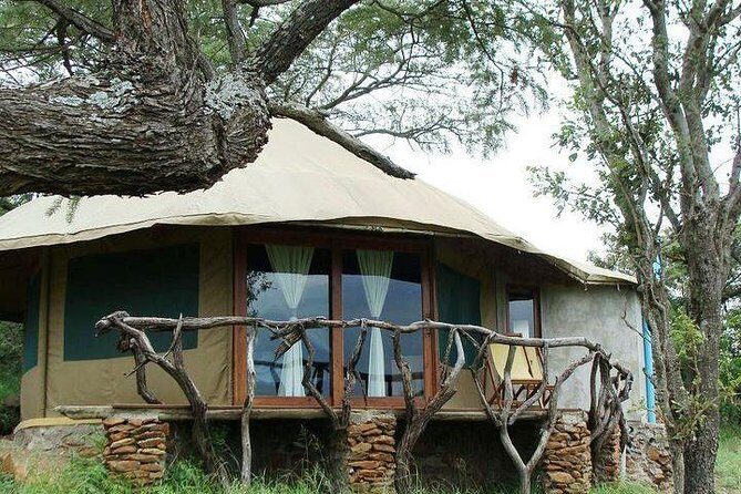 8 days Kenya and Tanzania private lodging safari from Nairobi - Day 3: Transfer to Serengeti & Game Viewing