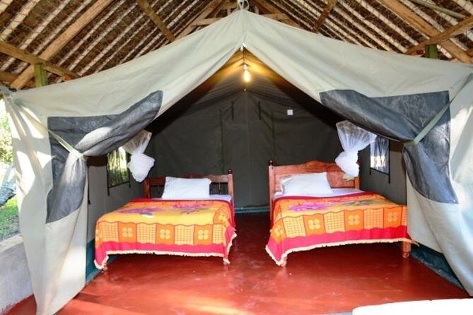 8 days Kenya and Tanzania private lodging safari from Nairobi - Day 5: Ngorongoro Crater – Africa’s Eden