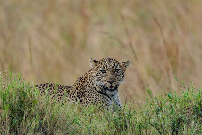 8 Days Kenya Safari Expedition - A Closer Look at the Itinerary