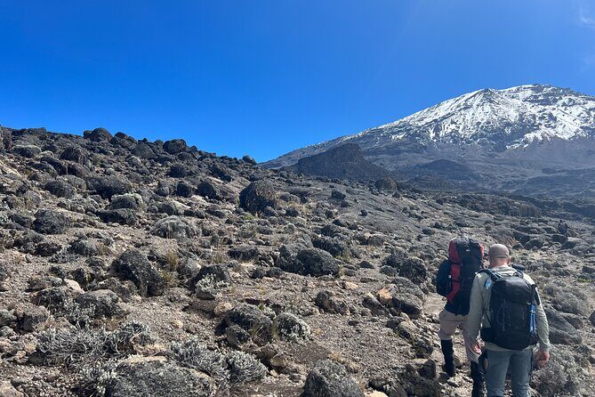 8 Days Kilimanjaro Climbing Lemosho Route - The Practical Value of This Tour