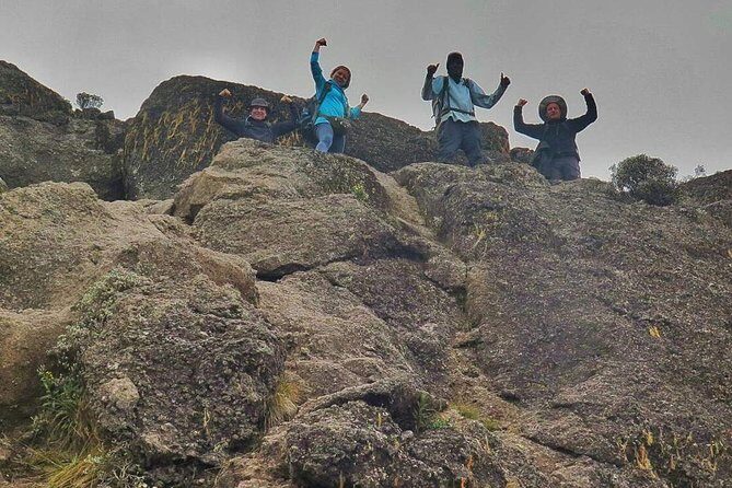 8 Days Lemosho Route Climbing - Pricing and Value