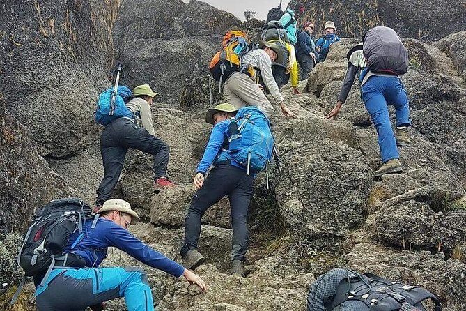 8 Days Lemosho Route Climbing - Authentic Experiences and Support