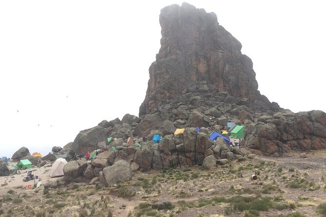 8 Days Lemosho Route - Starting Point in Moshi