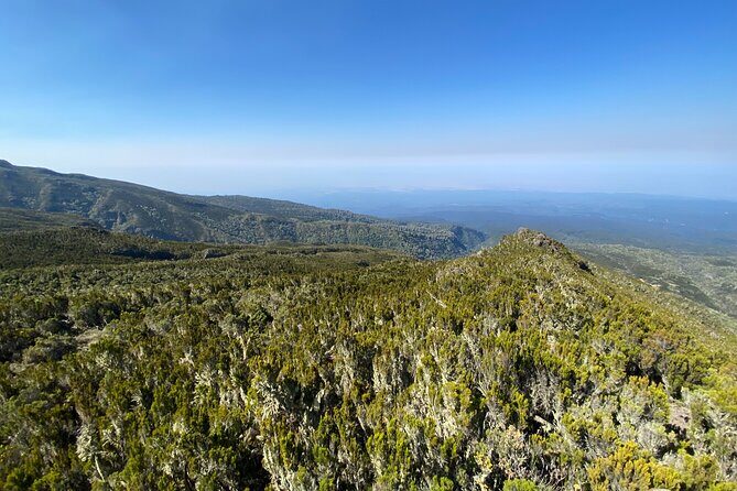 8 Days Lemosho Route - Day 5: Conquering Barranco Wall and Views of Mawenzi