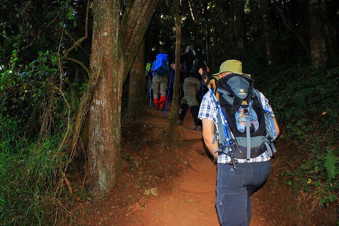 8 Days Mountain Kilimanjaro Lemosho Route - Introduction: Why This Kilimanjaro Tour Stands Out