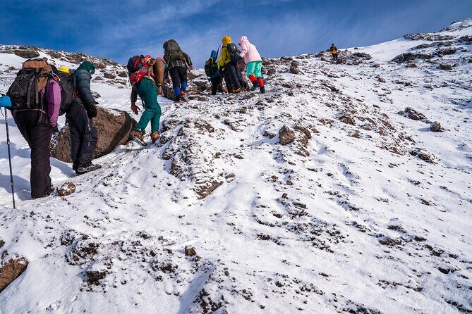8 Days Mountain Kilimanjaro Lemosho Route - Transportation and Group Size