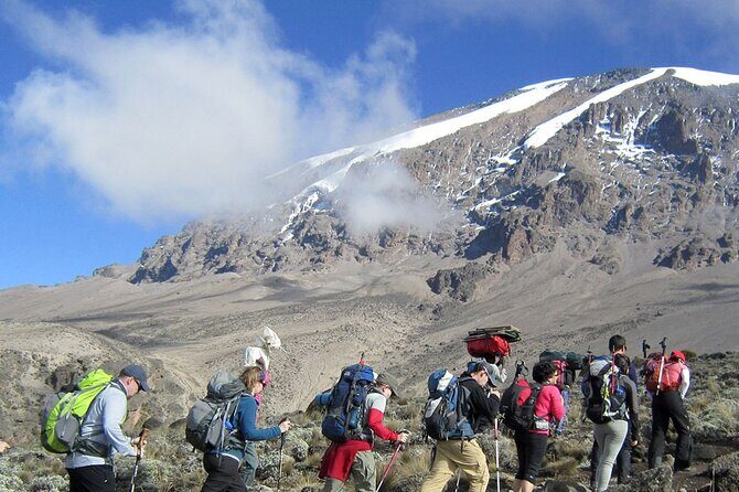 8 Days Mt Kilimanjaro Climb - Lemosho Route - An In-Depth Look at the Kilimanjaro Climb with KITONGA TOURS