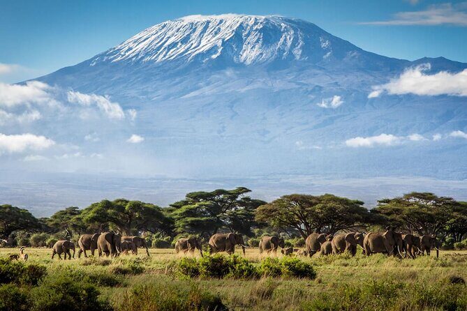 8 Days Mt Kilimanjaro Climb - Lemosho Route - Authentic Experiences and Scenic Highlights