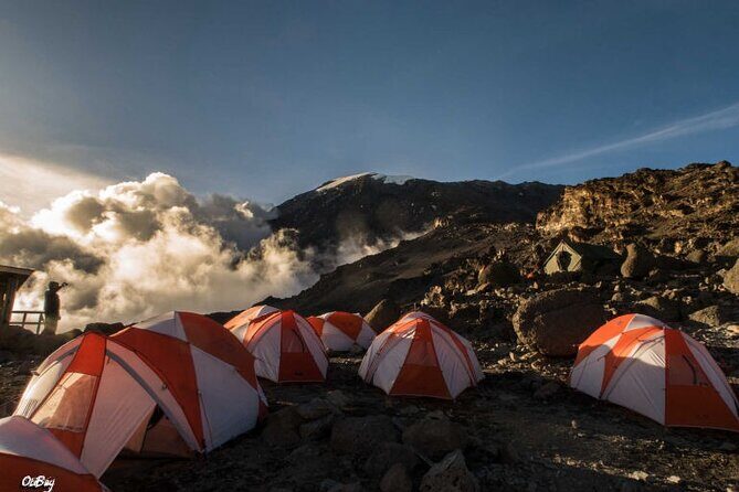 8 Days Mt Kilimanjaro Climb - Lemosho Route - Logistics and Logistics: What You Should Know