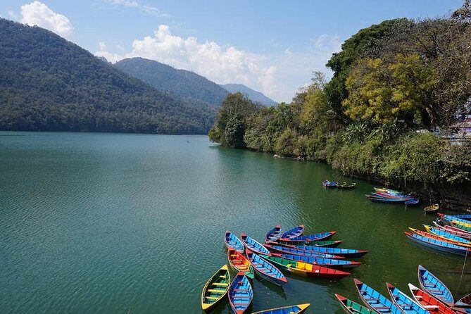 8 Days Nepal Highlights Tour: Culture, Wildlife & Lakeside Charm - Day 4: Chitwan Safari and Wildlife Encounters