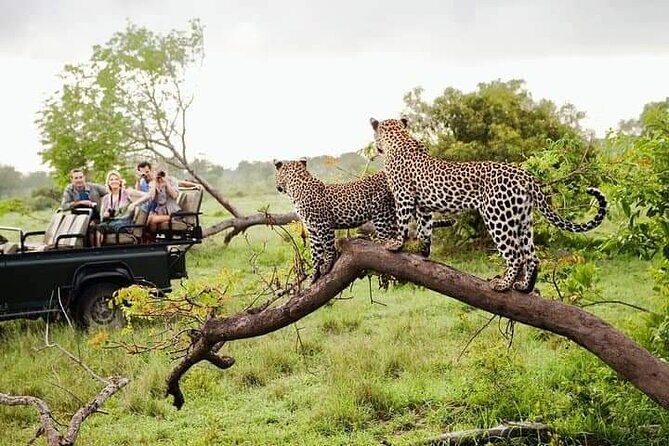 8 Days Private Guided Tour in Sri Lanka with accommodation (BB) - Day 8: Departure & Reflection