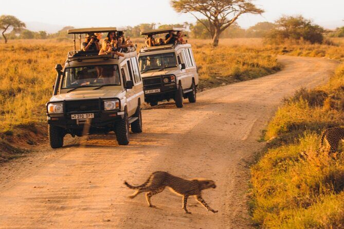 8-Days Private Luxury Safari: Serengeti, Ngorongoro & Materuni - FAQ