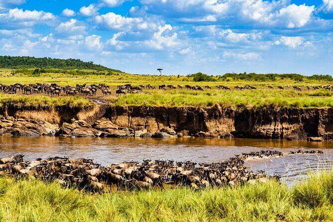 8 Days Private Safari in Serengeti Tour - What Makes This Safari Stand Out?