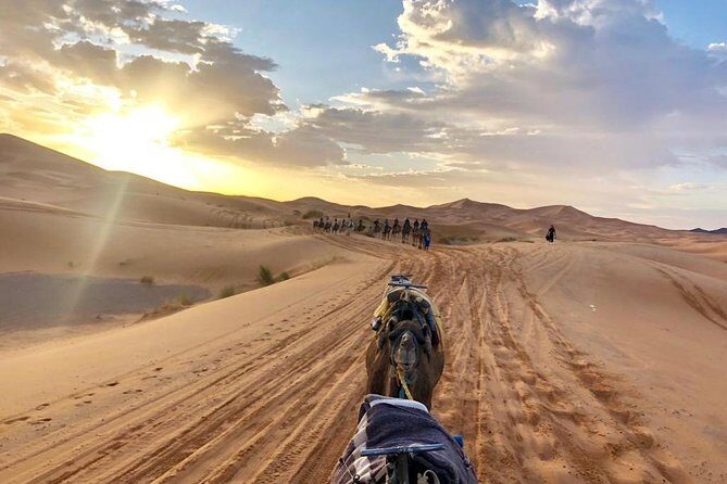 8-Days Private Tour Luxury to Marrakech via Fez, Desert from Casablanca - FAQ