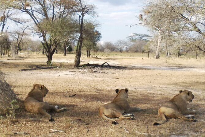 8 Days Safari to Mikumi NP, Ruaha NP and Nyerere NP + Isimila Stone Age Site - Site Visit: Isimila Stone Age
