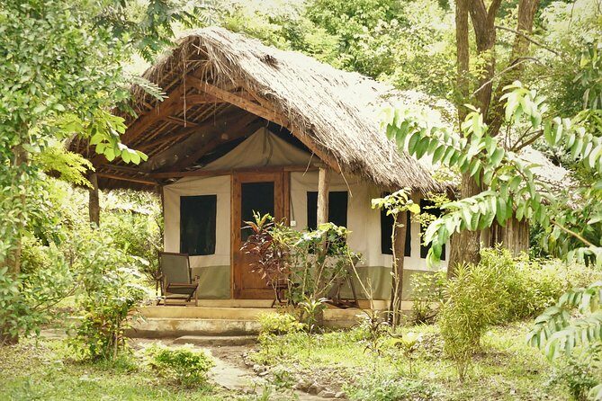 8 Days Safari to Mikumi, Ruaha & Udzungwa Mountains - Overview of the Itinerary