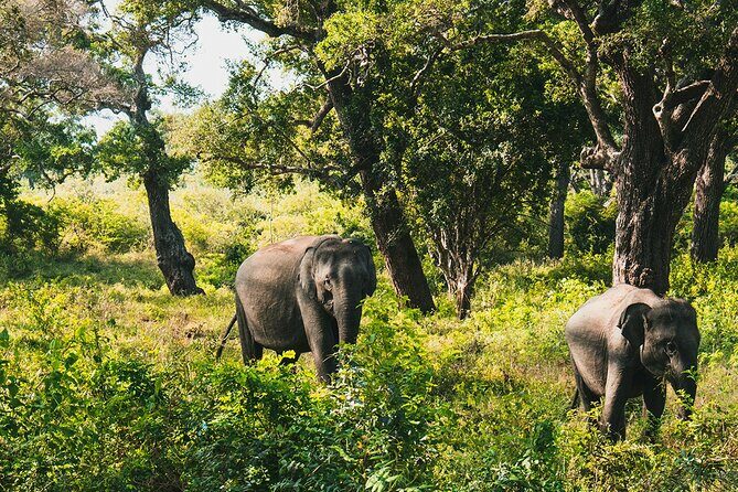 8 Days Sri Lanka Private Round Tour - Final Thoughts: Is It Worth It?