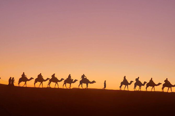 8 Days Tour From Casablanca to Merzouga Desert Fes and Marrakech - Final Thoughts: Who Will Love This Trip?