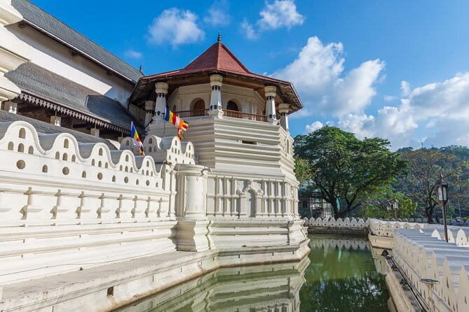 8 Days Tour Sri Lanka (Hotels, Breakfast, Dinner & Luxury Car) - Who Is This Tour Best For?