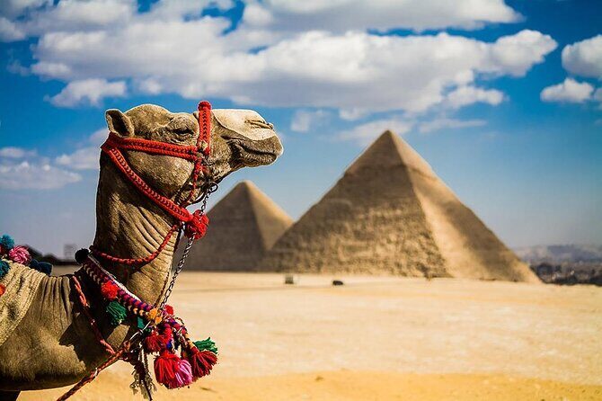 8 Days,Cairo,Alexandria,Aswan,Luxor,Cruise, Abu Simbel,From Cairo By Plane - FAQ
