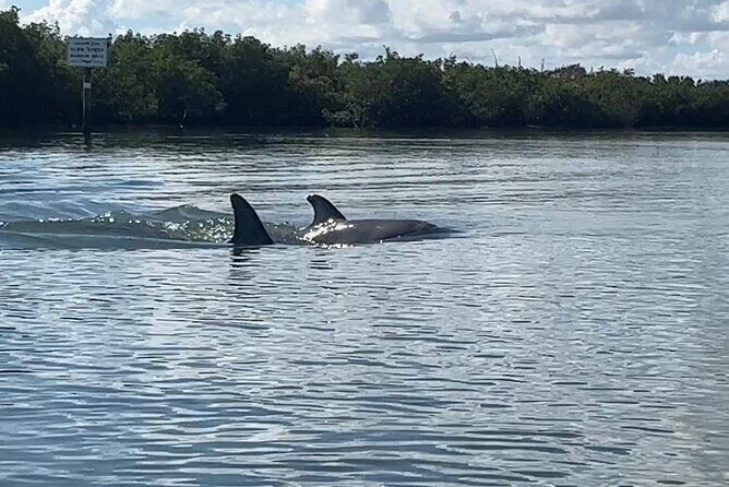 8-Hour Jungle Tour and Lagoon Passage to the Ocean in Fort Pierce - Final Thoughts: Who Will Love This Tour?