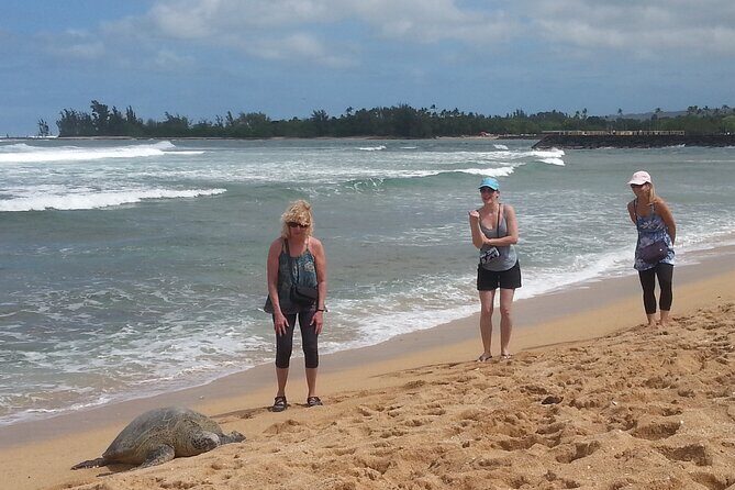 8-Hour Luxury Four Door Convertible Tour of Oahu's South and North Shores - Who Should Consider This Tour?