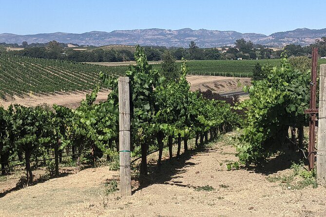 8 Hour Napa and Sonoma Valley tour - Who Will Love This Tour?