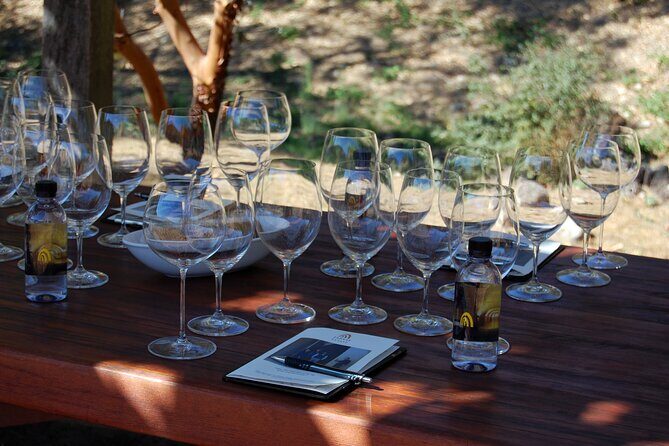 8 Hour Napa or Sonoma Wine Tour in Private Limousine - Final Thoughts