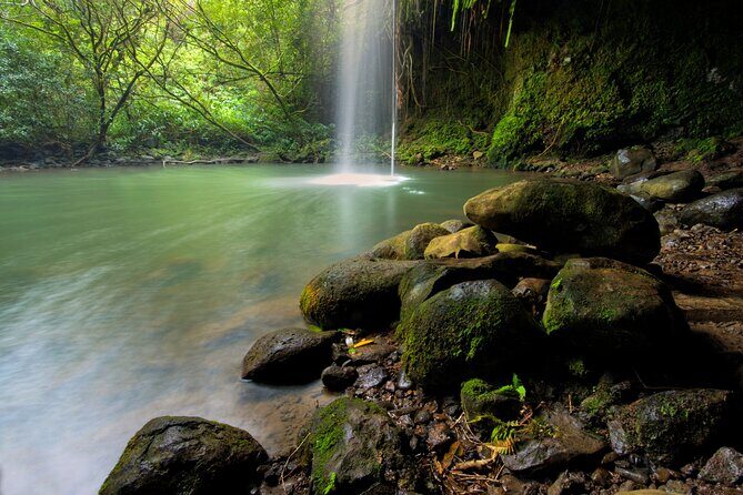 8 Hour Private Jungle Waterfall Tour from Maui - Free Time and Exploration