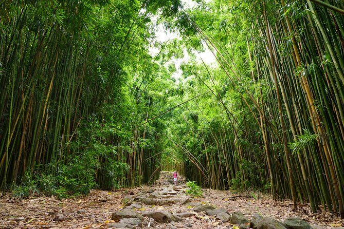 8 Hour Private Jungle Waterfall Tour from Maui - Comfortable Return and Ease